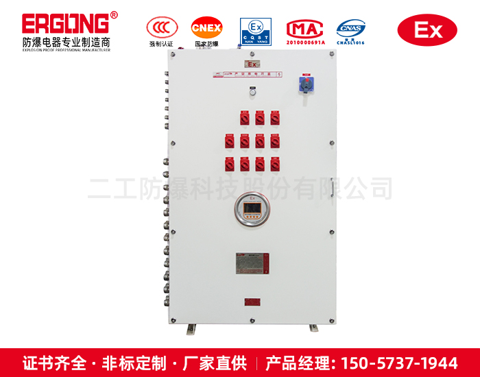全絕緣高壓充氣柜防爆正壓配電柜