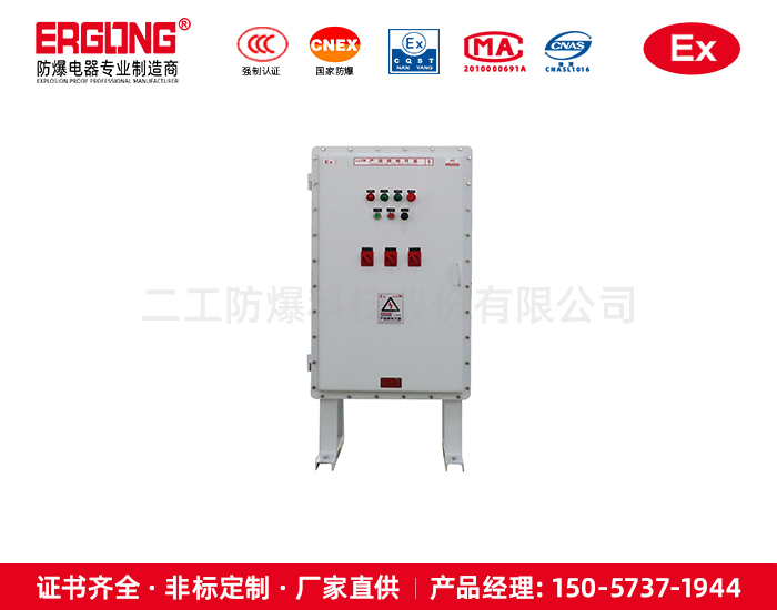 防爆配電箱（柜）-化工場所適用