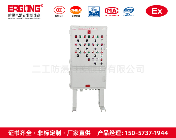 防爆碳鋼立式控制柜