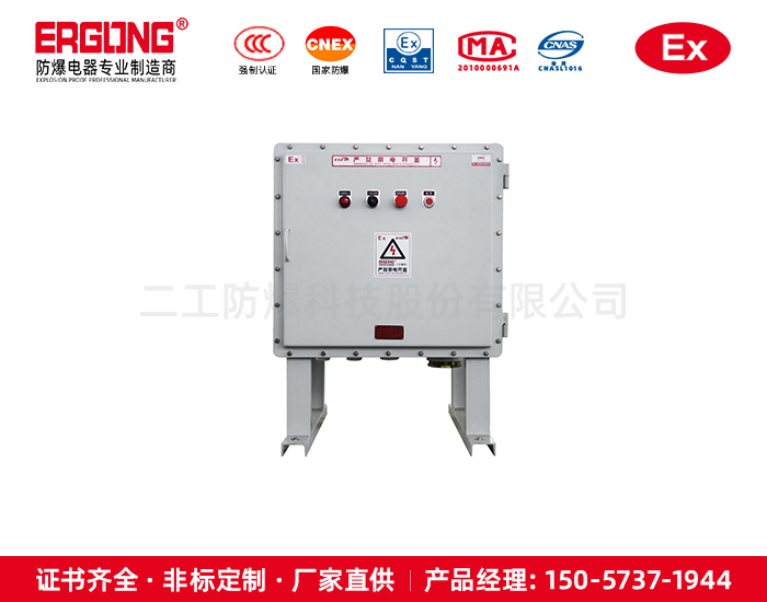 二工防爆非標定制控制箱配電箱