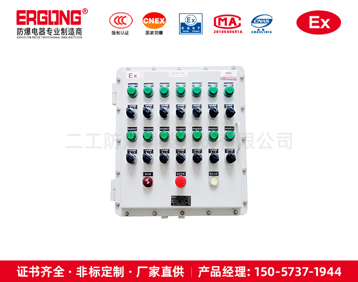 碳鋼隔爆型控制按鈕箱